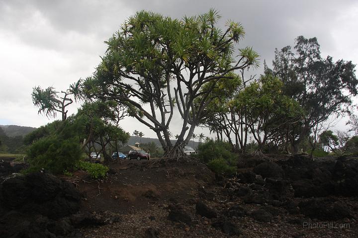 0901-Hawaii2008.jpg - Road to Hana