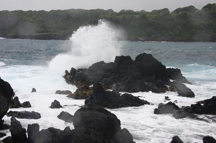 0909-Hawaii2008.jpg - Road to Hana