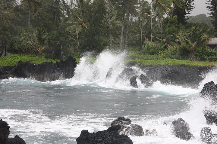 0914-Hawaii2008.jpg - Road to Hana