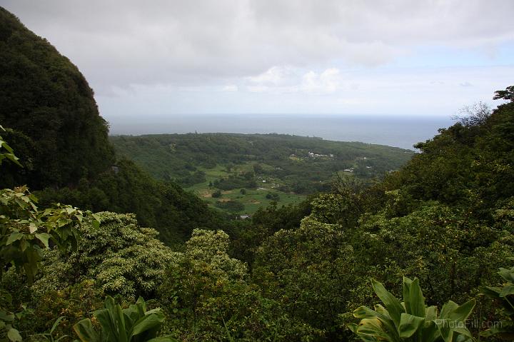 0917-Hawaii2008.jpg - Road to Hana