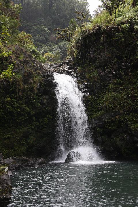 0926-Hawaii2008.jpg - Road to Hana