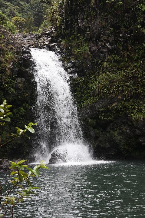 0927-Hawaii2008.jpg - Road to Hana