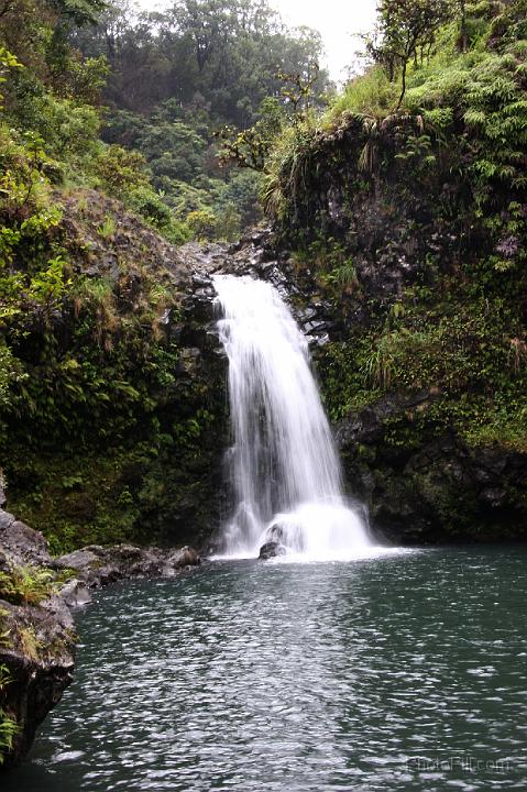 0928-Hawaii2008.jpg - Road to Hana