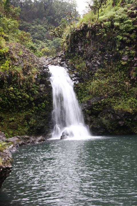 0929-Hawaii2008.jpg - Road to Hana