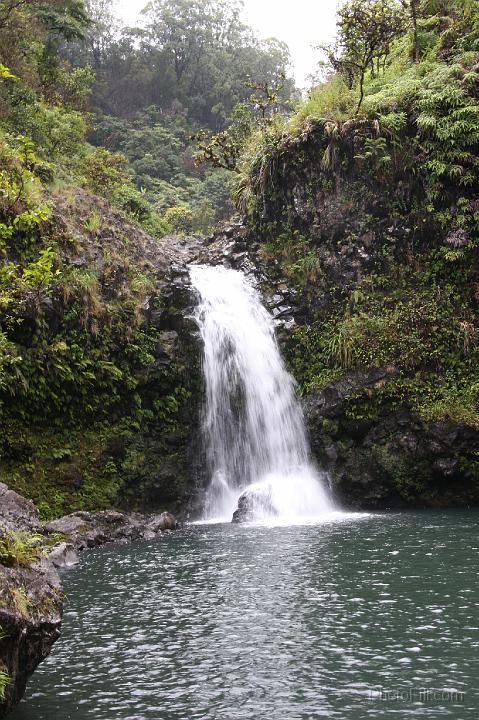 0930-Hawaii2008.jpg - Road to Hana