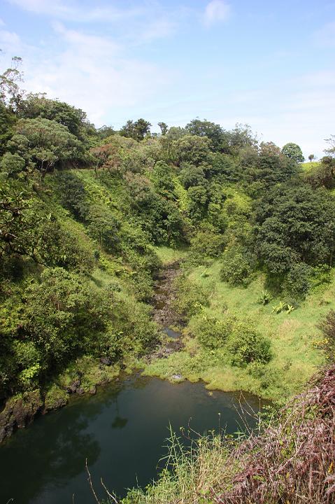 0933-Hawaii2008.jpg - Road to Hana