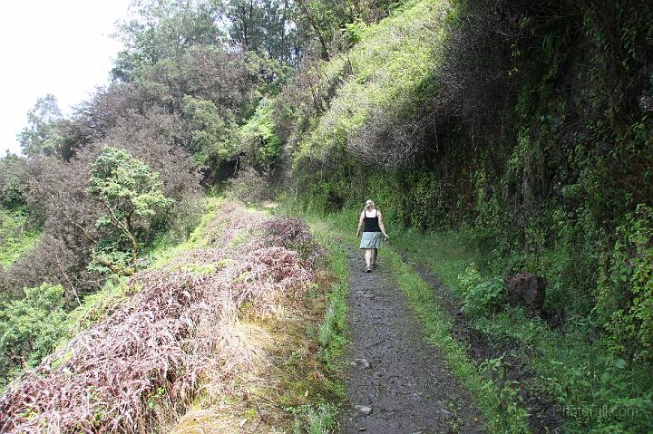 0936-Hawaii2008.jpg - Road to Hana