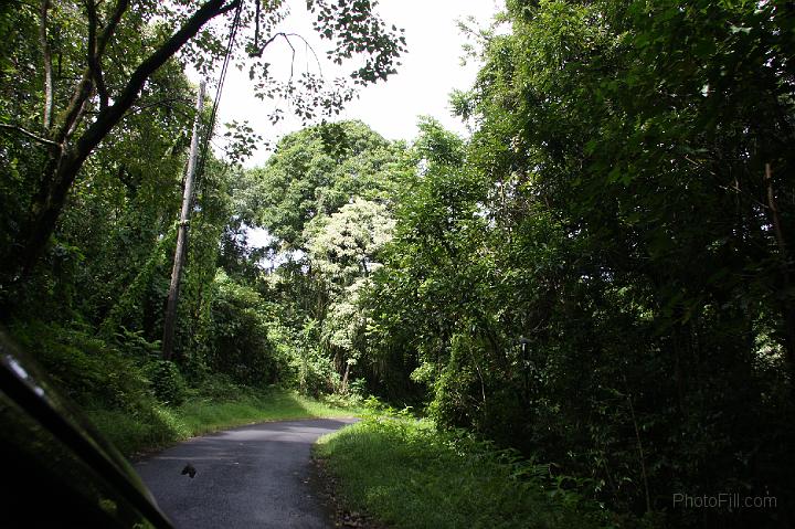 0948-Hawaii2008.jpg - Road to Hana - Nahiku