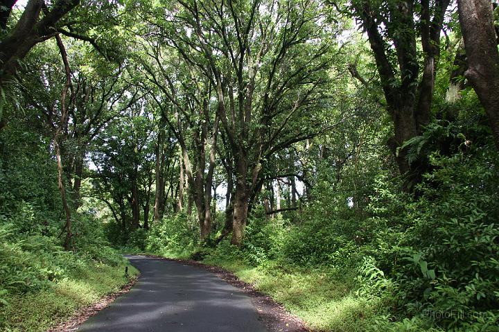 0950-Hawaii2008.jpg - Road to Hana - Nahiku