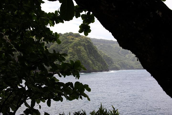 0955-Hawaii2008.jpg - Road to Hana - Nahiku