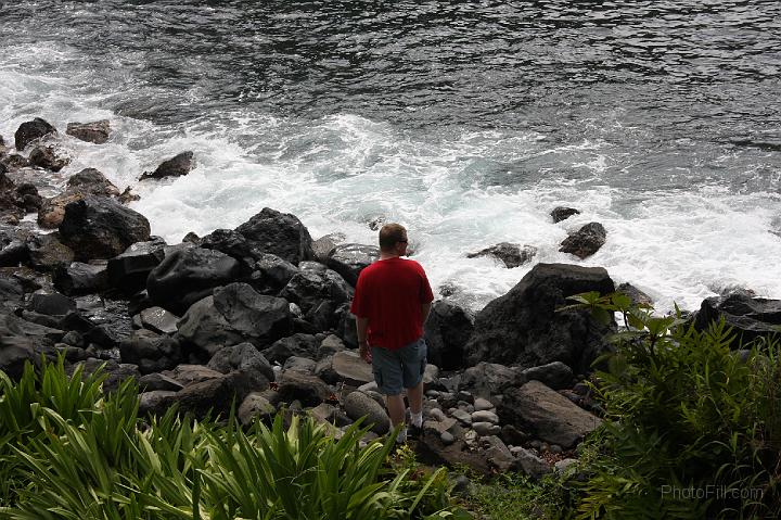 0964-Hawaii2008.jpg - Road to Hana - Nahiku