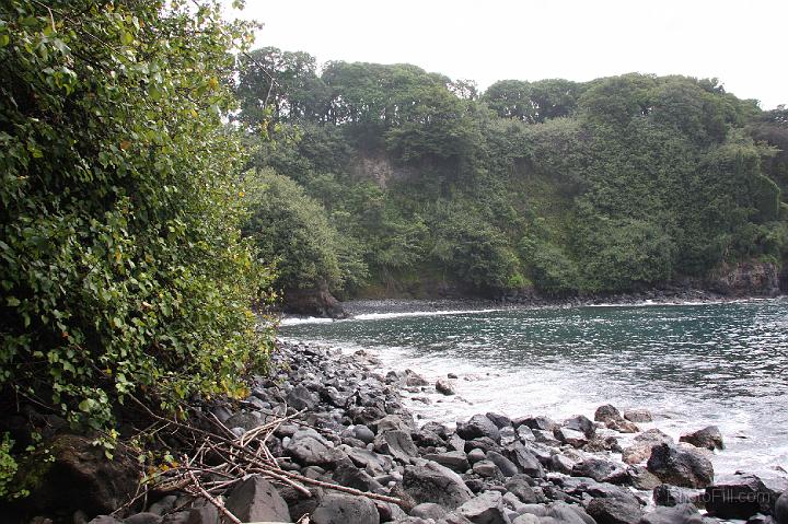 0965-Hawaii2008.jpg - Road to Hana - Nahiku