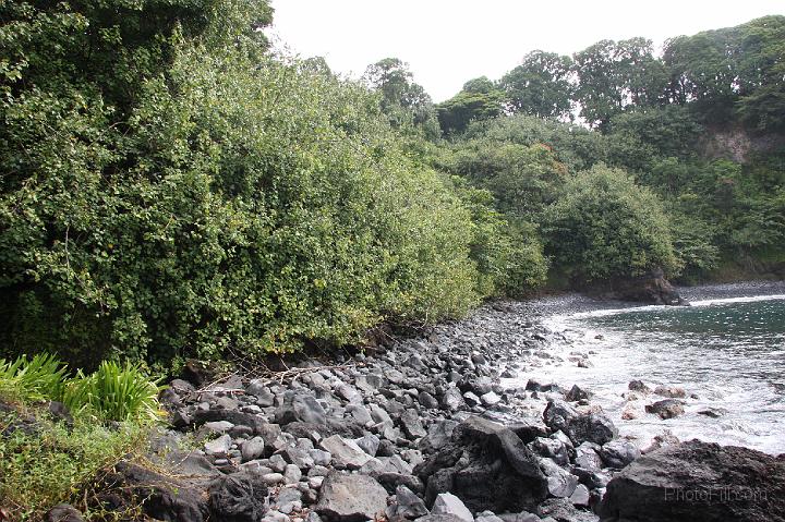 0972-Hawaii2008.jpg - Road to Hana - Nahiku