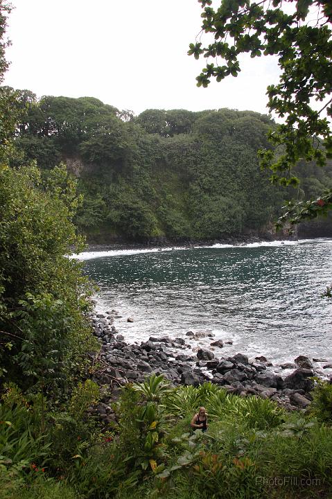 0977-Hawaii2008.jpg - Road to Hana - Nahiku