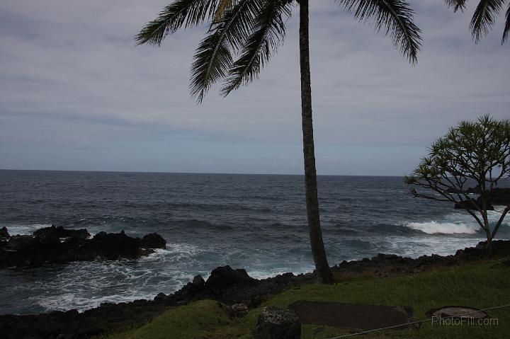 0987-Hawaii2008.jpg - Road to Hana - Nahiku