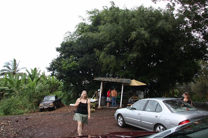 1001-Hawaii2008.jpg - Road to Hana