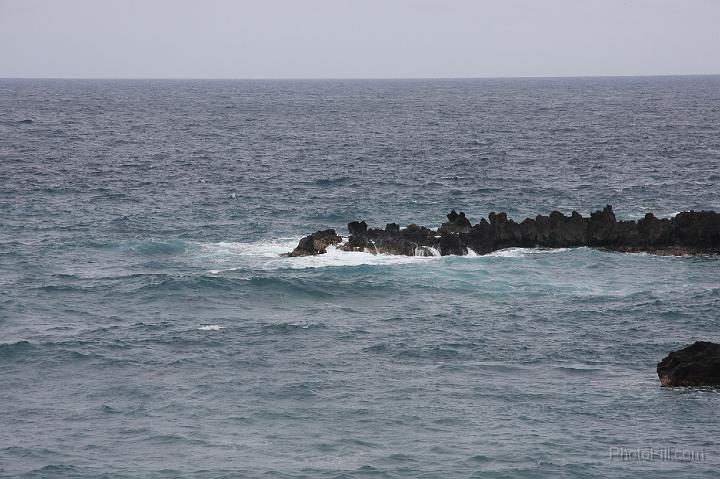 1003-Hawaii2008.jpg - Road to Hana