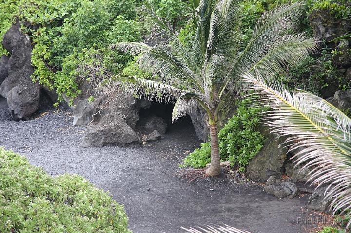 1004-Hawaii2008.jpg - Wainapanapa State Park