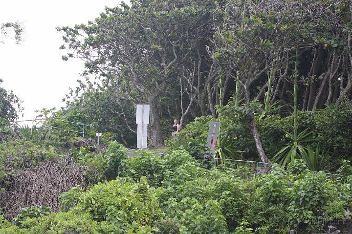 1019-Hawaii2008.jpg - Wainapanapa State Park