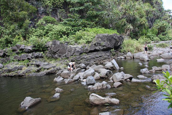 1030-Hawaii2008.jpg - 7 Pools - South Haleakala Park