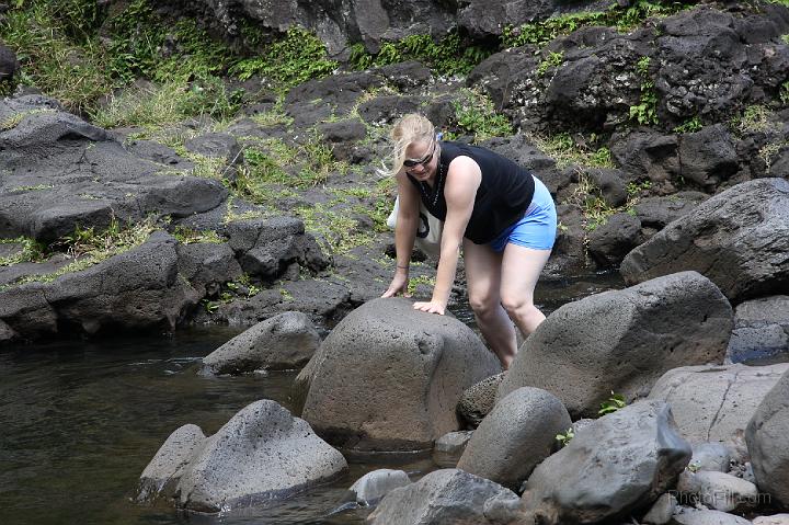 1031-Hawaii2008.jpg - 7 Pools - South Haleakala Park