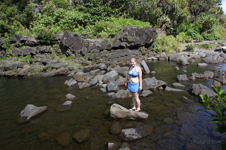 1036-Hawaii2008.jpg - 7 Pools - South Haleakala Park