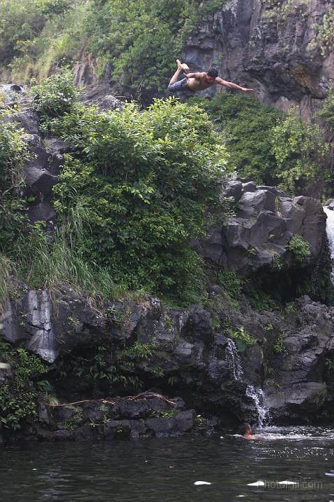 1121-Hawaii2008.jpg - 7 Pools - South Haleakala Park