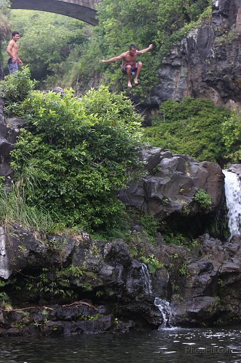 1163-Hawaii2008.jpg - 7 Pools - South Haleakala Park