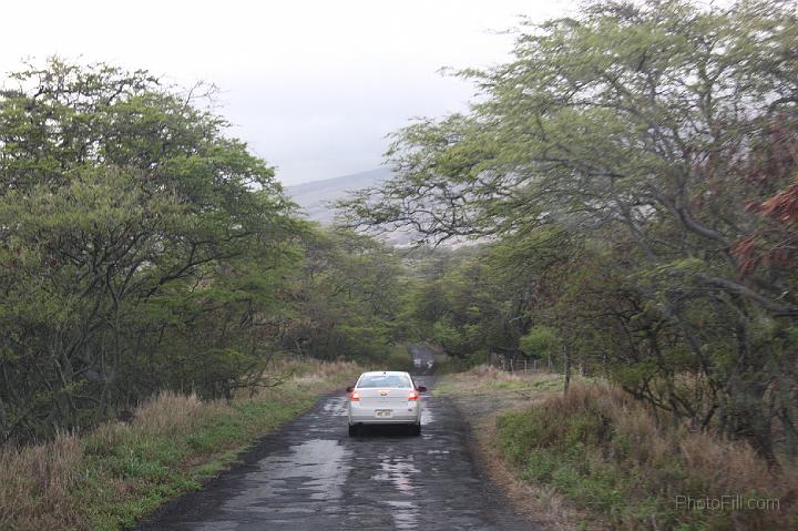 1220-Hawaii2008.jpg - Southern Maui "illegal" road - Arid