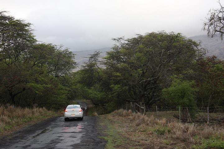 1221-Hawaii2008.jpg - Southern Maui "illegal" road - Arid