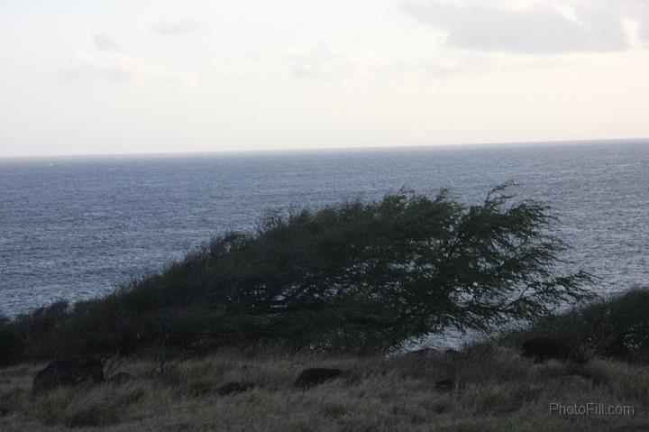 1223-Hawaii2008.jpg - Southern Maui "illegal" road - Arid