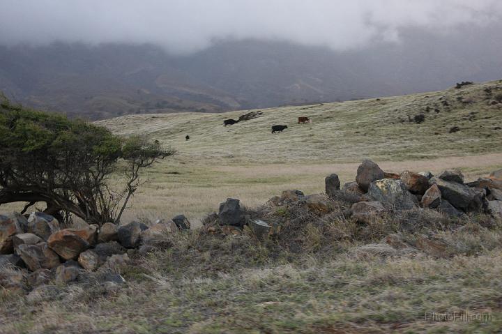 1229-Hawaii2008.jpg - Southern Maui "illegal" road - Arid