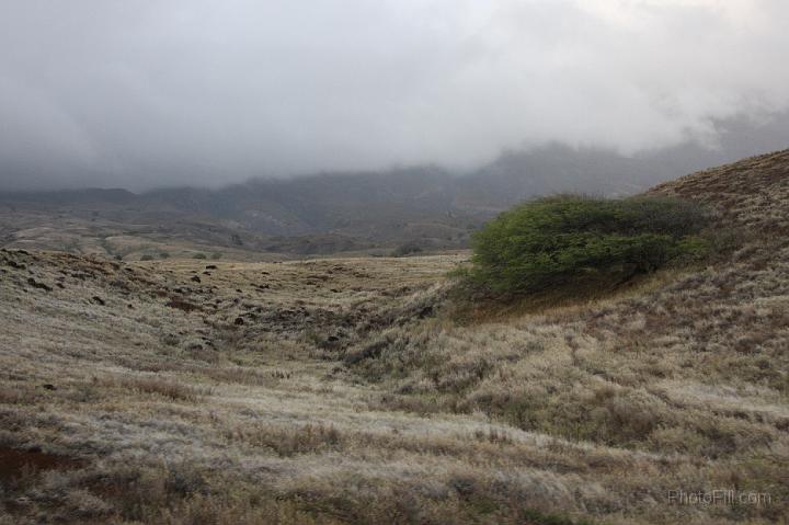 1230-Hawaii2008.jpg - Southern Maui "illegal" road - Arid