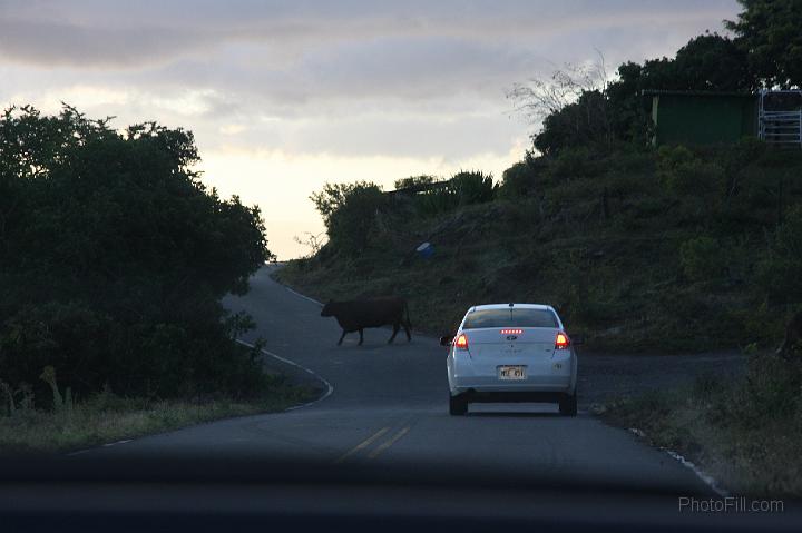 1249-Hawaii2008.jpg - Southern Maui "illegal" road - Arid