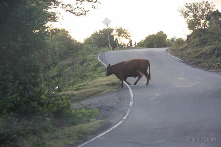 1251-Hawaii2008.jpg - Southern Maui "illegal" road - Arid