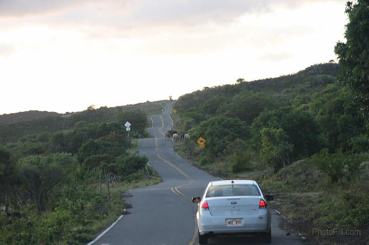 1253-Hawaii2008.jpg - Southern Maui "illegal" road - Arid