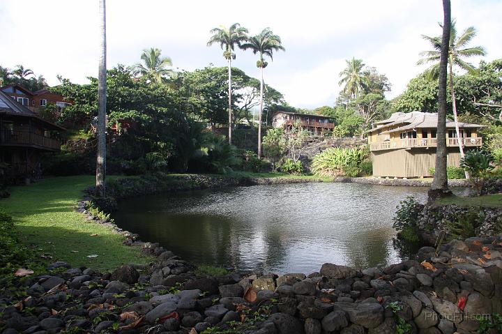 1305-Hawaii2008.jpg - Hana House Views