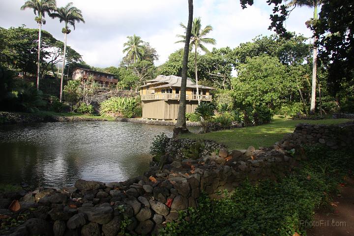 1307-Hawaii2008.jpg - Hana House Views