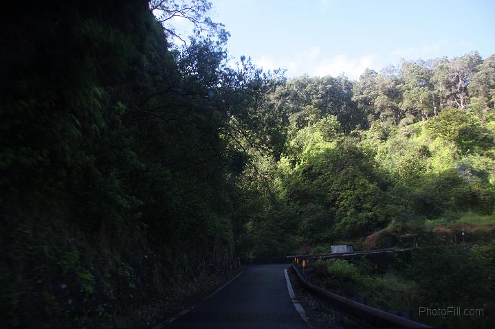 1310-Hawaii2008.jpg - Road From Hana