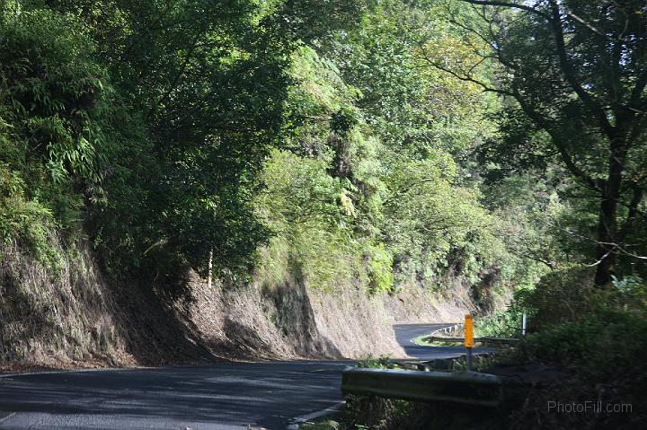 1311-Hawaii2008.jpg - Road From Hana