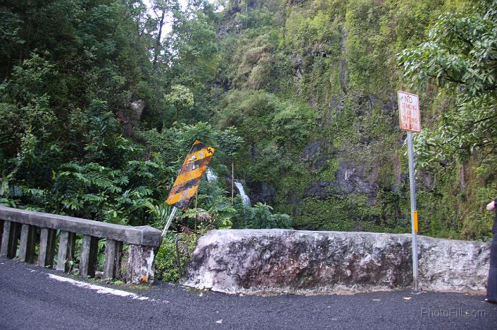 1312-Hawaii2008.jpg - Road From Hana