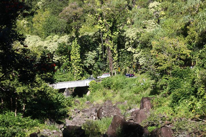 1316-Hawaii2008.jpg - Road From Hana