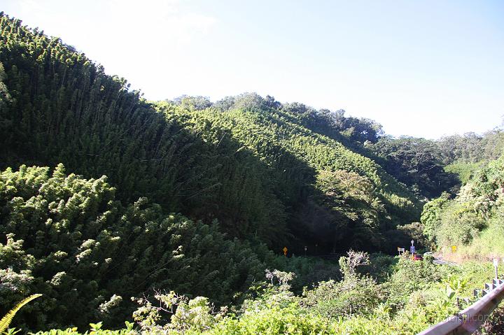 1317-Hawaii2008.jpg - Road From Hana