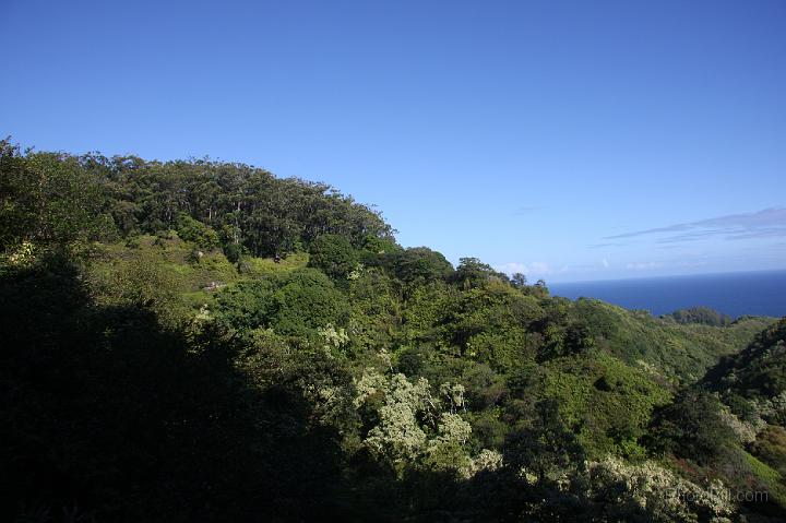 1318-Hawaii2008.jpg - Road From Hana