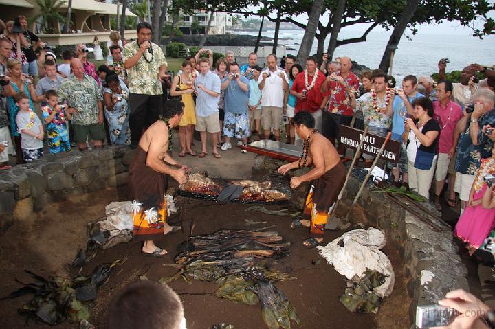 1352-Hawaii2008.jpg - Hawaiian Luau