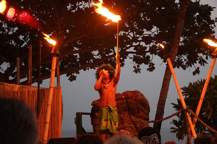 1360-Hawaii2008.jpg - Hawaiian Luau