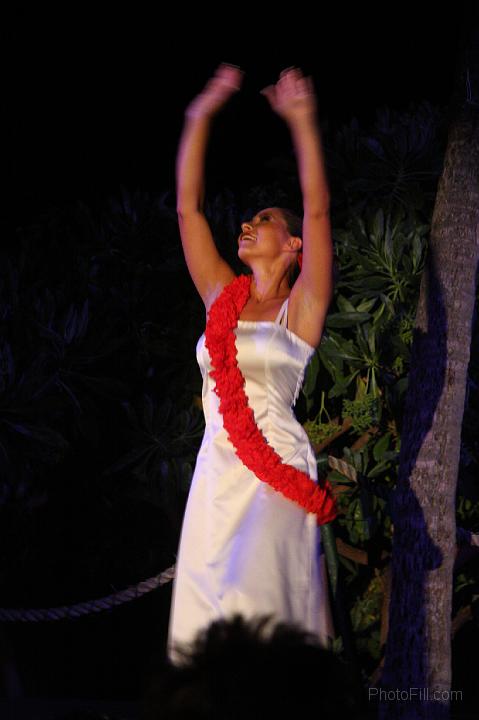 1382-Hawaii2008.jpg - Hawaiian Luau