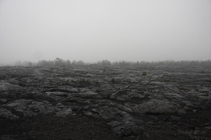 1445-Hawaii2008.jpg - Volcano National Park