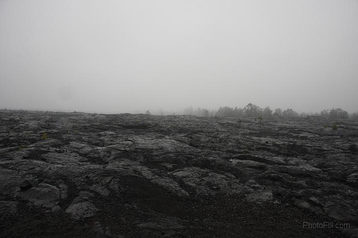 1446-Hawaii2008.jpg - Volcano National Park