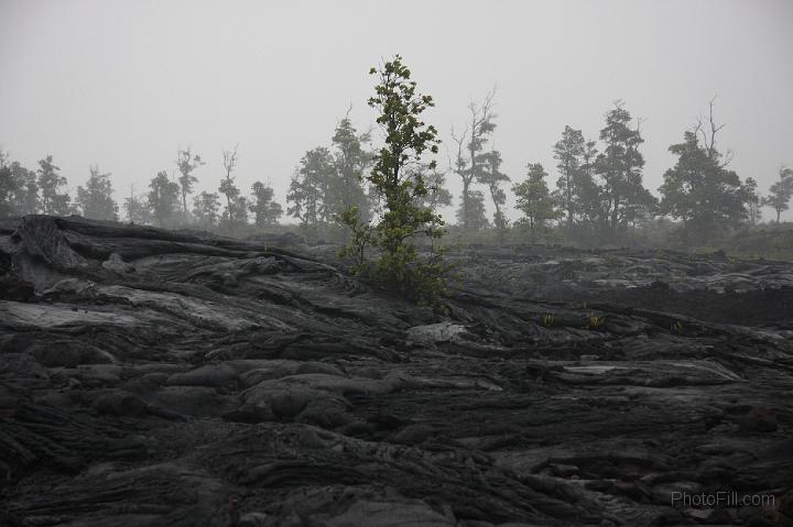 1451-Hawaii2008.jpg - Volcano National Park